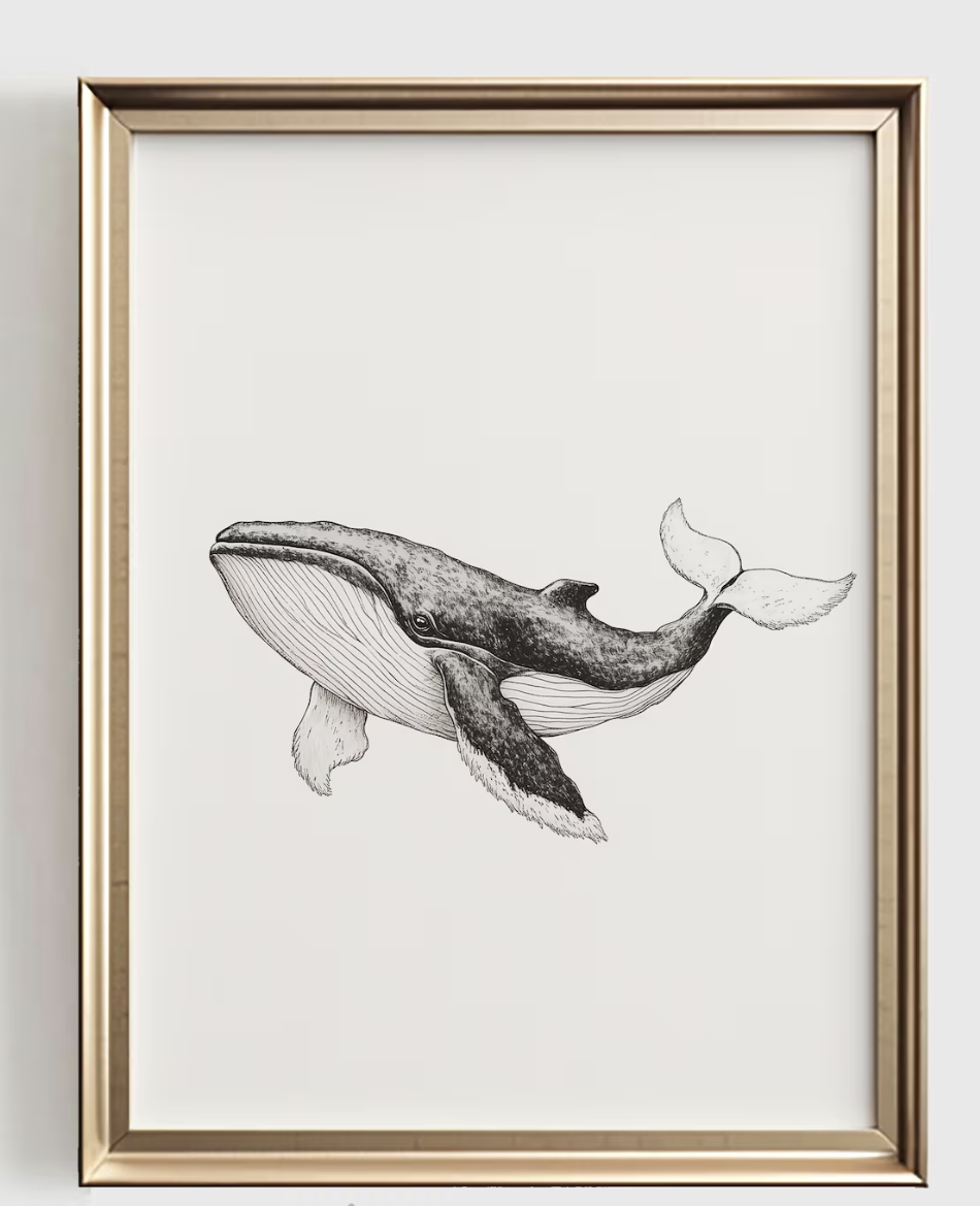 Whale Line Art Print, Minimali - Baby Nursery Art review and price